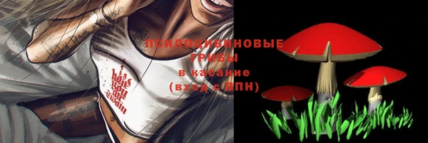 хмурый Медвежьегорск