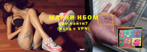 сатива Мегион