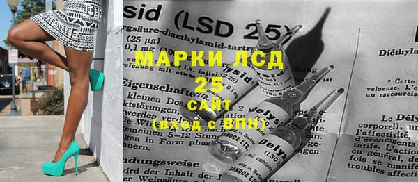 сатива Мегион