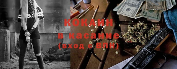 сатива Мегион