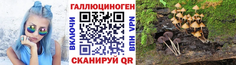 Галлюциногенные грибы Psilocybe  MEGA ТОР  Харабали  где купить наркоту 